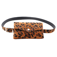 Load image into Gallery viewer, Leopard Bag