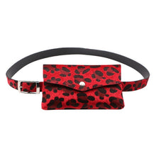 Load image into Gallery viewer, Leopard Bag
